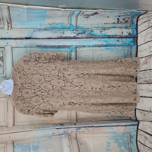 JJs House Taupe Mother of the Bride/Groom Dress - Picture 4 of 8